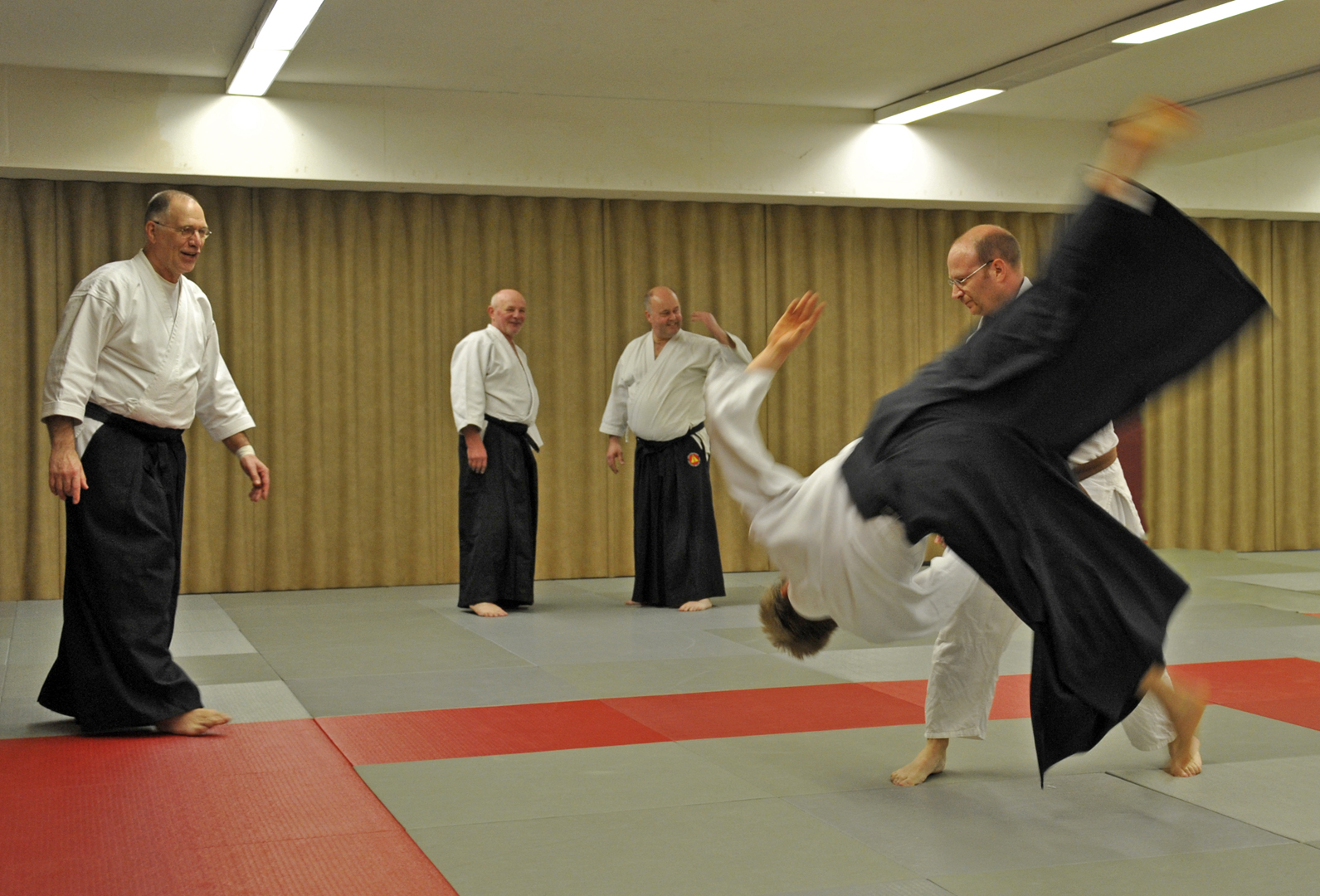 Aikido_Training